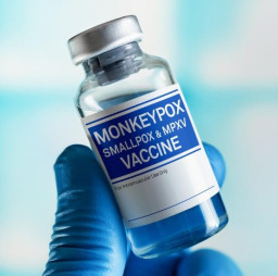 HICH:Which of the following conspiracy theories emerged after the WHO declared the monkeypox outbreak a global emergency?