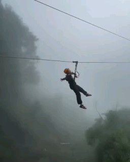HICH:My mood:
Just want to feel free and fly!