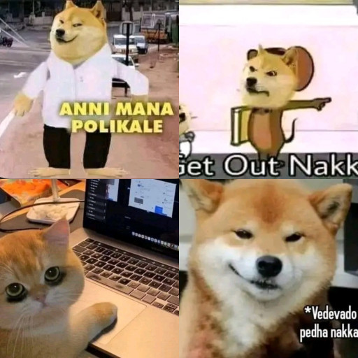 HICH:Which one is funny 😂 
@jayakumar9700 #hich #memes #funny