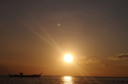 HICH:Rate how good my skill at photography