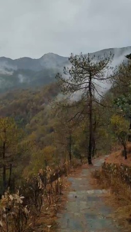HICH:Rain hike 😀