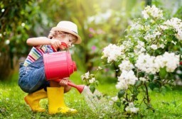 HICH:Why is drainage important when watering potted plants & flowers?
