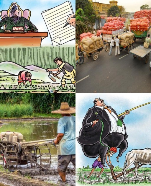 HICH:What are the main reasons farmers are unable to access the market for their produce?