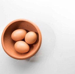 HICH:What food helps in building muscles?