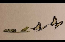 HICH:Change - Scary or Growth?
How do you feel about personal change?