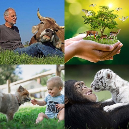 HICH:If animals also could talk just like human, what changes would be seen? 
#HICH #ANIMALS TALK