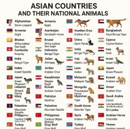 HICH:All about Asian countries and their national animals this is print out my research. What is your country national animal?