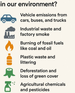 HICH:What do you think is the main cause of pollution in our environment?