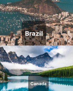 HICH:Which country has the most diverse wildlife?💯👃🤔