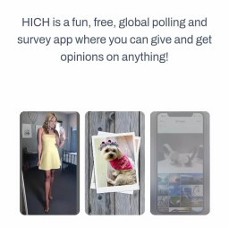 HICH:What is the primary purpose of the HICH application?