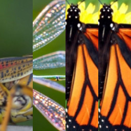 HICH:Which insect is good for nature?