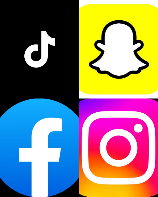 HICH:With over 3billion people using it monthly according to statista. What is largest social media app it the world?