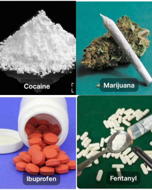 HICH:Quiz: Sharks off the coast of Rio de Janeiro tested positive for Which drug?