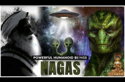 HICH:Who are Nāgas, depicted in ancient Hindu scriptures and the Vedas?