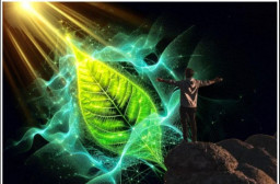 HICH:How does photosynthesis, as symbolized in this image, embody the profound interconnectedness of light, energy, and life?