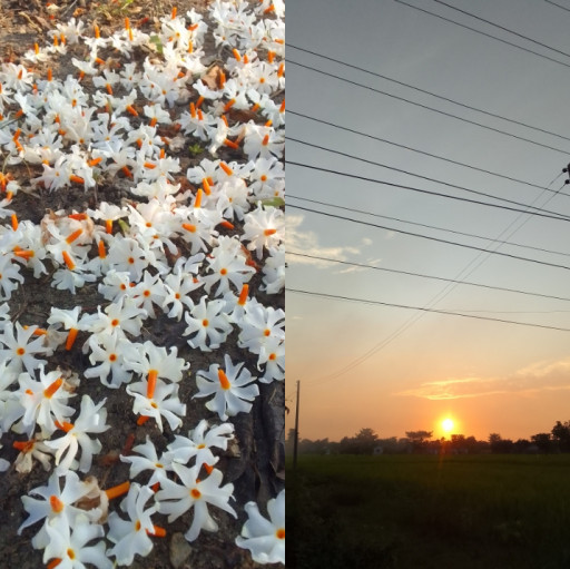 HICH:Nature❤️