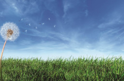 HICH:Why air is important for living beings ??