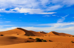 HICH:Why is it not possible for deserts manship.