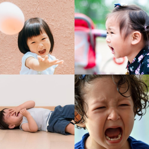 HICH:What temper tantrums for toddler? What are the causes?