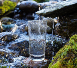 HICH:Why is water very important to our lives?