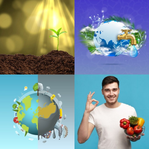 HICH:How do you think that ancient grains help modern agriculture? 