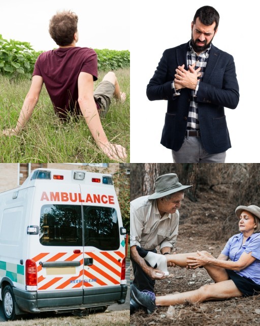 HICH:What do you do if you are bitten by a snake?
#Snake #Bitten #Situation