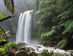 HICH:#Environment_Day
The natural environment or natural world encompasses all biotic&abiotic thing occurring naturally meaning in this case not artificial