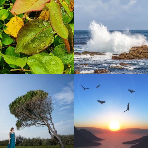 HICH:Which of these nature sounds brings you the most peace?
