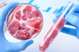 HICH:Are lab-grown meats also called cell-cultured or cultivated meats safe to eat?
