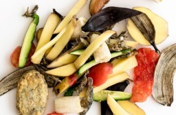 HICH:What are the benefits of composting organic waste like the one shown in the image?