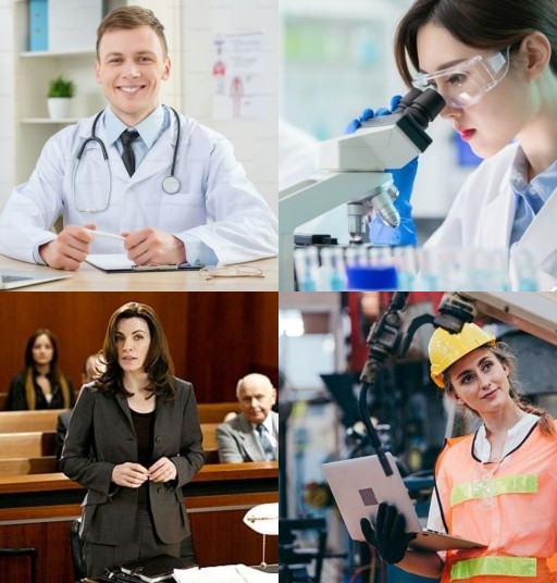 HICH:Which high-level profession do you admire or prefer the most?