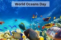 HICH:Why is world Ocean Day celebrated? @June_8?