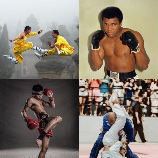 HICH:Which is the most dangerous martial art in the world?
#Martialarts