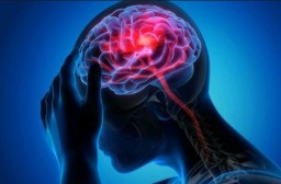 HICH:Does Brain Injury Influence Criminal Behavior ?