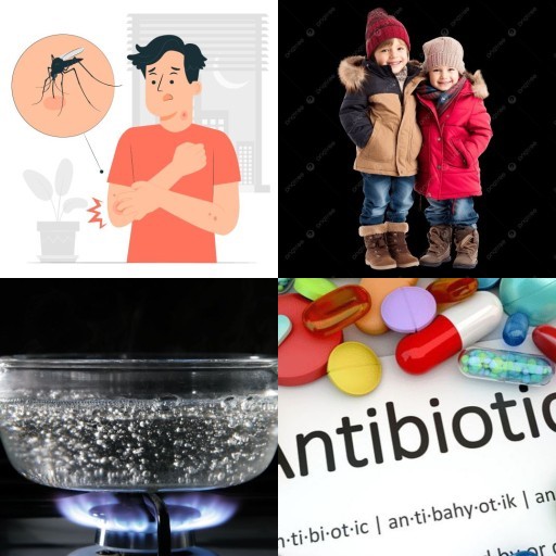 HICH:In your opinion what is the best way to prevent from dengue?