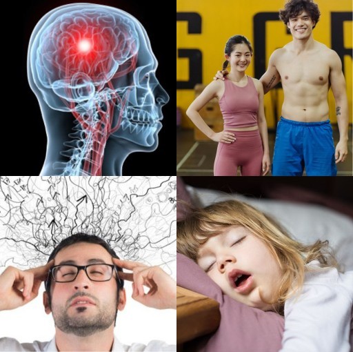 HICH:How does regular exercise impact neuroplasticity and memory formation?