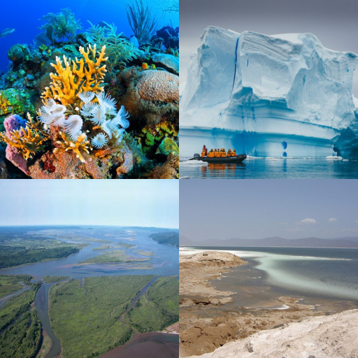 HICH:Why does the salinity of the ocean vary in different regions, and what is its impact on marine life?