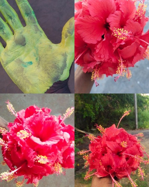 HICH:Flower lovee...