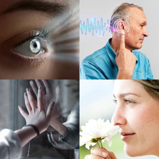 HICH:If you could enhance one sense, which would you choose?