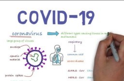 HICH:What virus causes the disease known as COVID-19? Follow me👉️ #trending