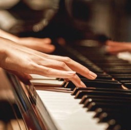 HICH:Which musical instrument has keys, pedals, and strings?