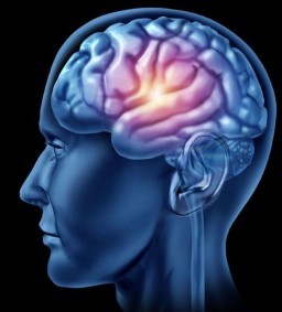 HICH:We all are focused on Exterior Well being. How about Our Brain. Choose the best Exercise for Improving Memory #HICHPOLL #BRAINCARE