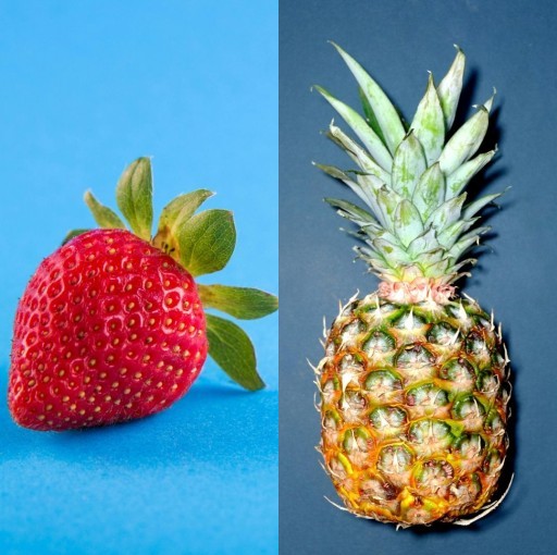 HICH:Which one is your favourite?