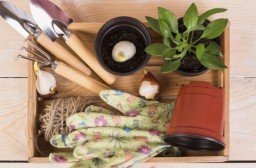 HICH:What are the benefits of upcycling household goods?