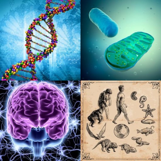HICH:What are the most interesting concepts in biology?