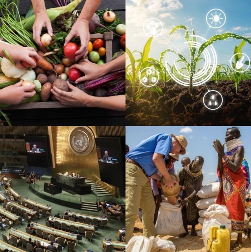 HICH:Which is the best way to achieve the goal of zero hunger?