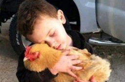 HICH:Why do simple acts of kindness from strangers often stay in our memory forever?