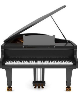 HICH:Which musical instrument has 88 keys?