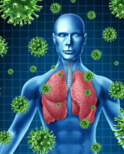 HICH:How can you prevent spread of communicable diseases?
#Hichee
