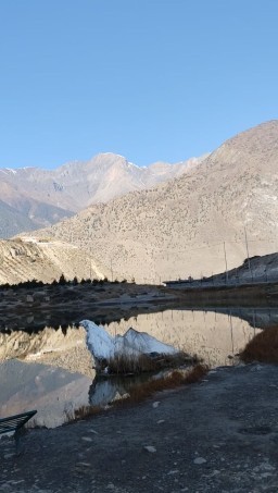 HICH:Dhumba Lake Mustang. 
Rate